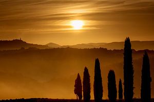 L'heure dorée du matin dans le Val d'Orcia