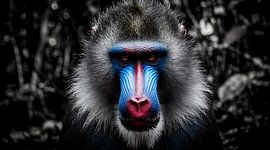Tableau mural « Majestic Mandrill Primal Portrait » - Des couleurs éclatantes et un regard intense