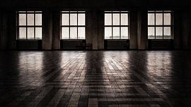 Echoes of Lost Frequencies by Saranda in t Veld Fotografie