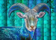 Billy Goat Blue von mimulux patricia no Miniaturansicht