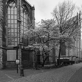 Pieterskerk in Leiden van Foto Amsterdam/ Peter Bartelings