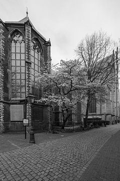 Pieterskerk in Leiden