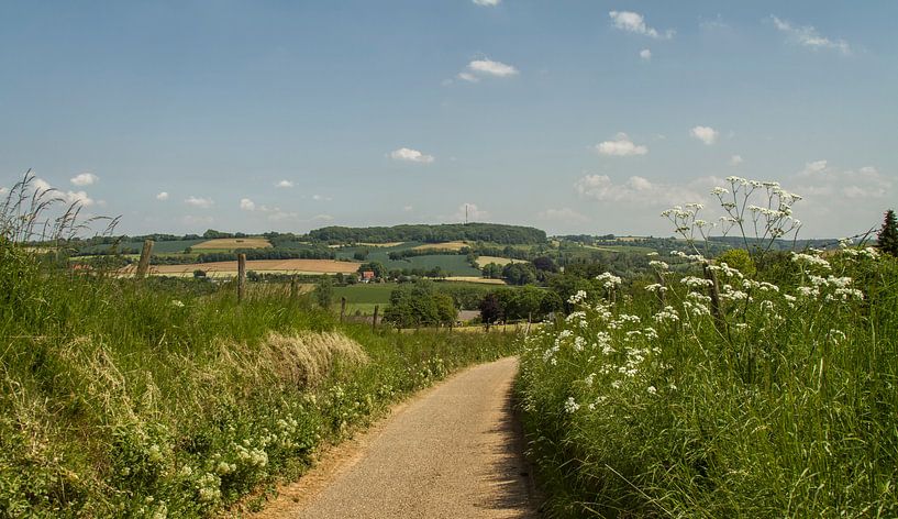Zomer in Zuid-Limburg van John Kreukniet