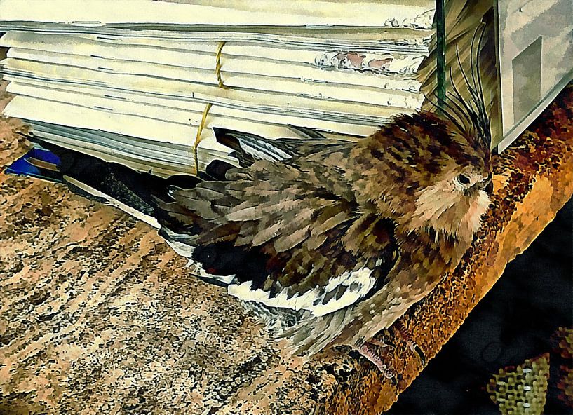 Cockatiel Waiting For Customers by Dorothy Berry-Lound