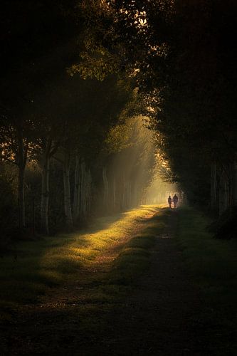 Ochtendwandeling op Landgoed Marienwaerdt