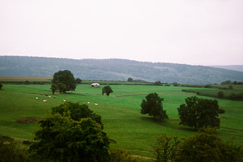 Le calme dans la vallée des Ardennes