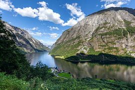 Fjordenlandschap in Noorwegen van Studio17