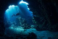 A diver in the mystical channels of Shaab Claude