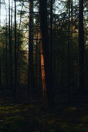 Der erste Sonnenschliff von Youpsnel Fotografie