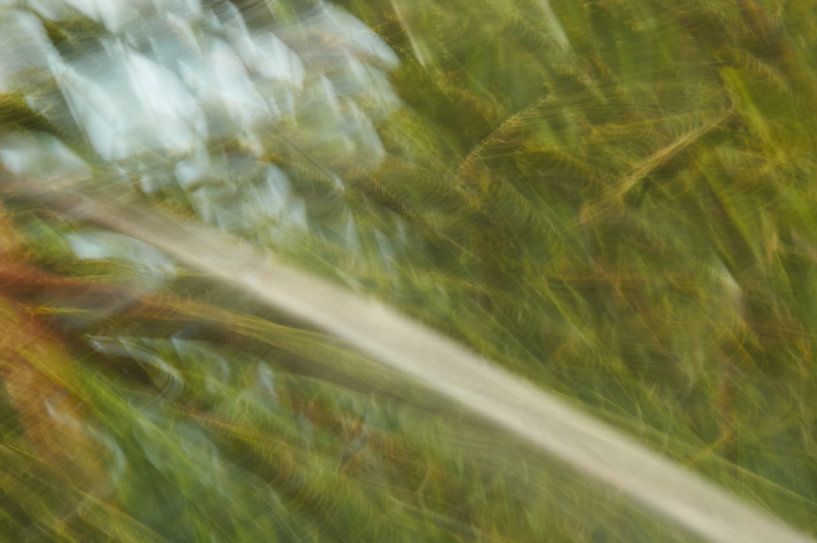 Nature in motion by Twan Kalthof