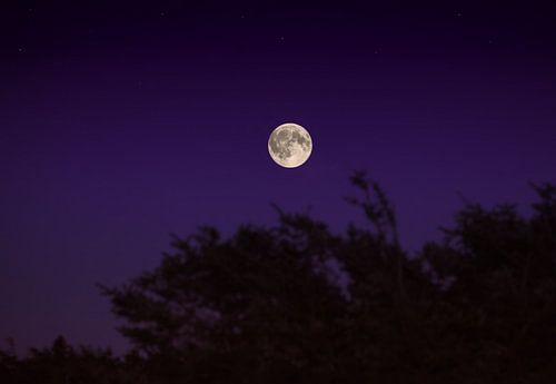 Volle maan