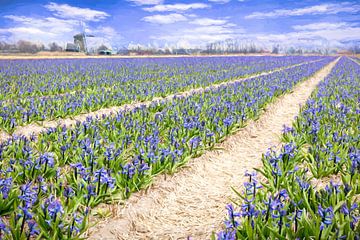 mill among the hyacinths by eric van der eijk