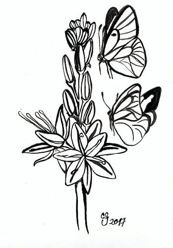 Zielen in Asphodel Velden