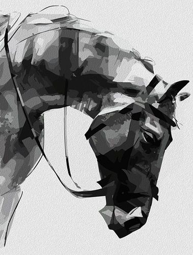 Abstract Paardenportret - Paardenkracht in zwart-wit