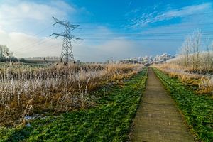 Polderlandschaft von Ivo de Rooij