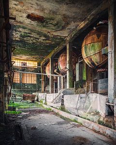 Verlaten Papierfabriek in Verval. van Roman Robroek - Foto's van Verlaten Gebouwen