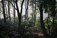 Zonsopkomst @ Chitwan National Park van Wiljo van Essen thumbnail