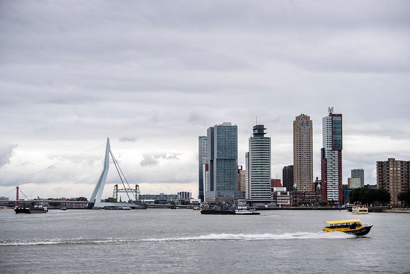 Skyline of Rotterdam by Jeroen van Eijndhoven
