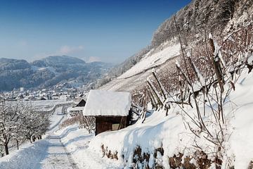 Verschneite Schweizer Rebhänge vor Dorf von Besa Art