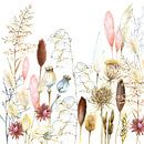 Dried flowers and pampas grasses by Geertje Burgers thumbnail