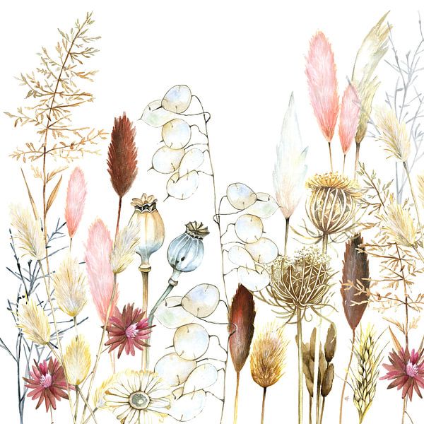 Dried flowers and pampas grasses by Geertje Burgers