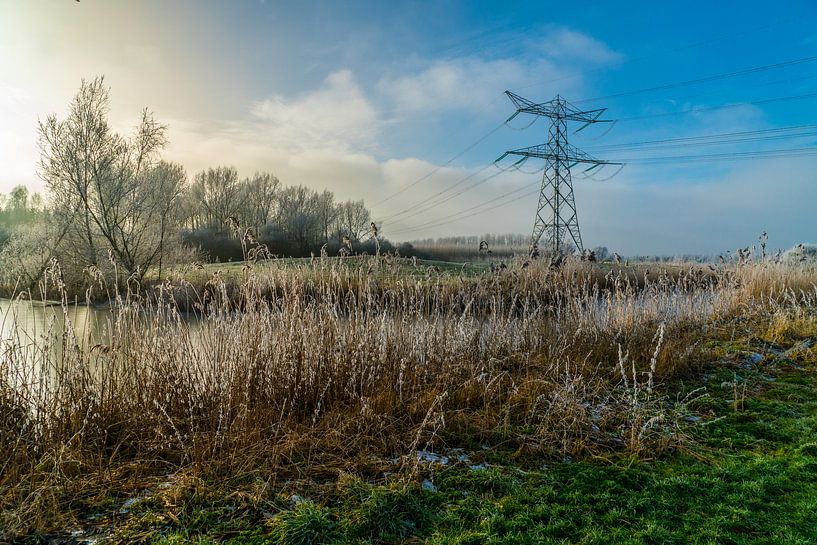 Polder landscape by Ivo de Rooij