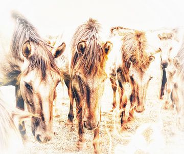 Des chevaux fougueux sur Maneschijn FOTO