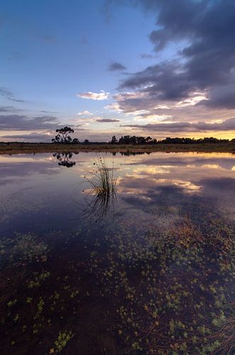 Strabrechtse Heide 134