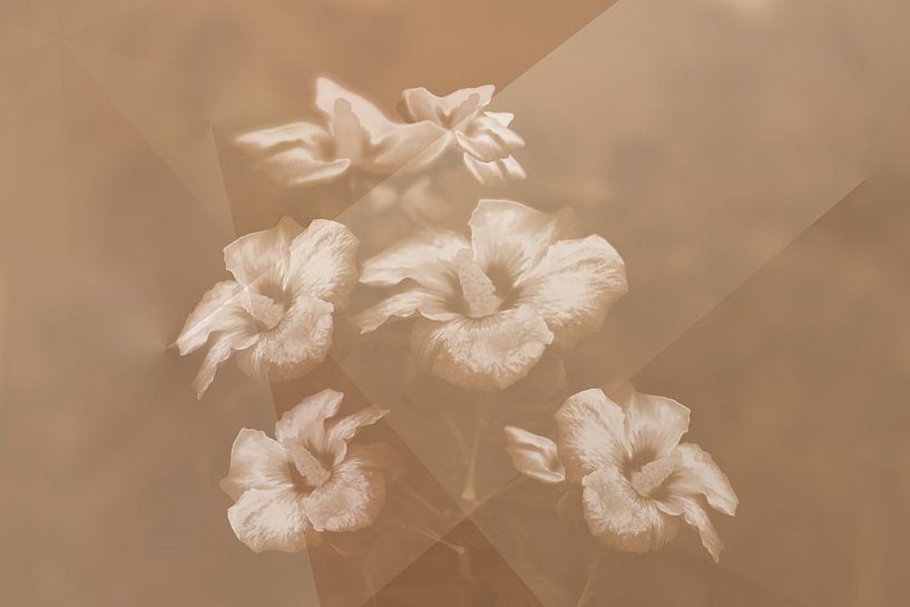 Moderner Hibiskus von Ellinor Creation