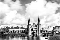 Sneek