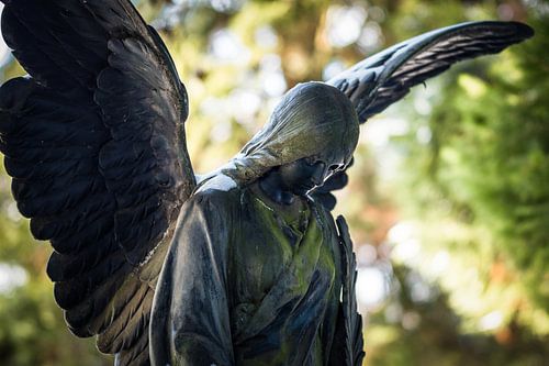 Cemetery Angels