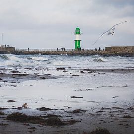 Leuchtturm Warnemünde mit Möwe im Flug von Bild.Konserve