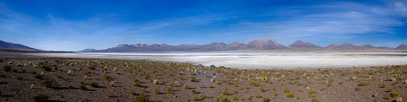 panorama van een zoutvlakte in Chili van Eline Oostingh