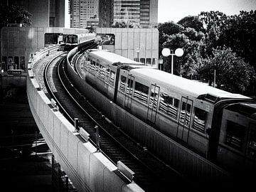 il se faufile dans la ville sur Ruud Otter