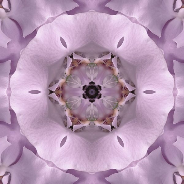 You are valuable by Herzblüte