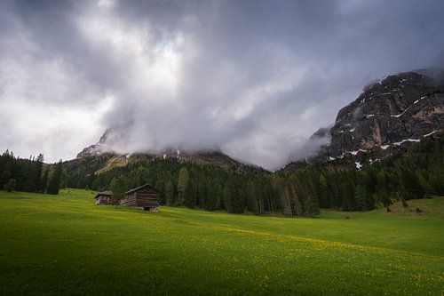 Zwitserse Alpen