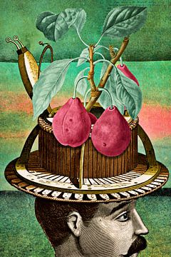 How Fruits are Invented by Marja van den Hurk