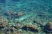 Eau de mer bleue, rochers et vagues douces 2 sur Montepuro