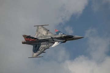 Saab Gripen van Willem Woudenberg / Photobywim