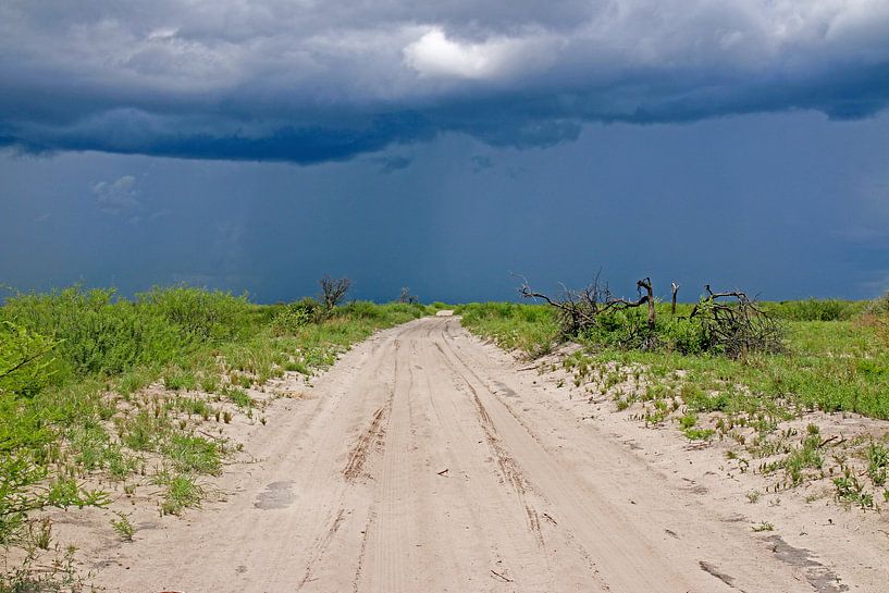 Straße im Gewitter durch Botswana von Britta Kärcher