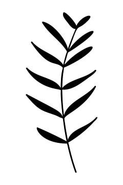 Botanical basics. Black and white drawing of simple leaves no. 4 by Dina Dankers