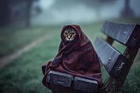 Kat in deken