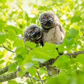 zusammen von Ina Hendriks-Schaafsma