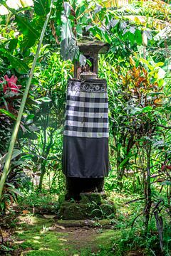 Altar in the jungle of Bali by Mickéle Godderis