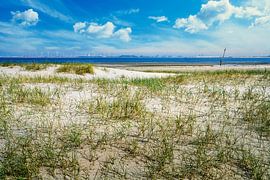 The evil corner dune and beach overlooking the Maasvlakte by eric van der eijk