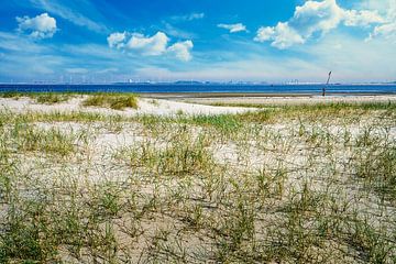 dune and beach with view of the Maasvlakte by eric van der eijk