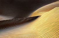 Shapes of the Wind II