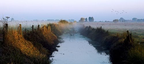 Foggy morning in Brabant