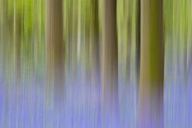 Blue-green spring by Elbert-Jan Achterberg