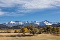 Herfstkleuren in the Rockies van Jan-Thijs Menger thumbnail